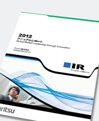 Annual Report 2012