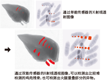 双能传感器的X射线透视图像