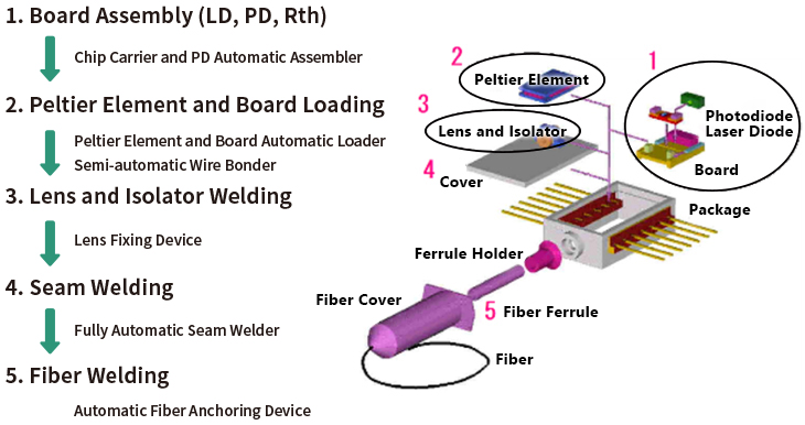 Module Assembly